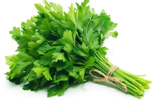 Cây Mùi Tây – Gia Vị Xanh Dinh Dưỡng Và Những Lợi Ích Sức Khỏe